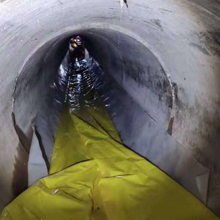 宽甸管道光固化修复